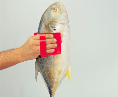 Saiba onde encontrar o melhor fornecedor de luva agarra peixe